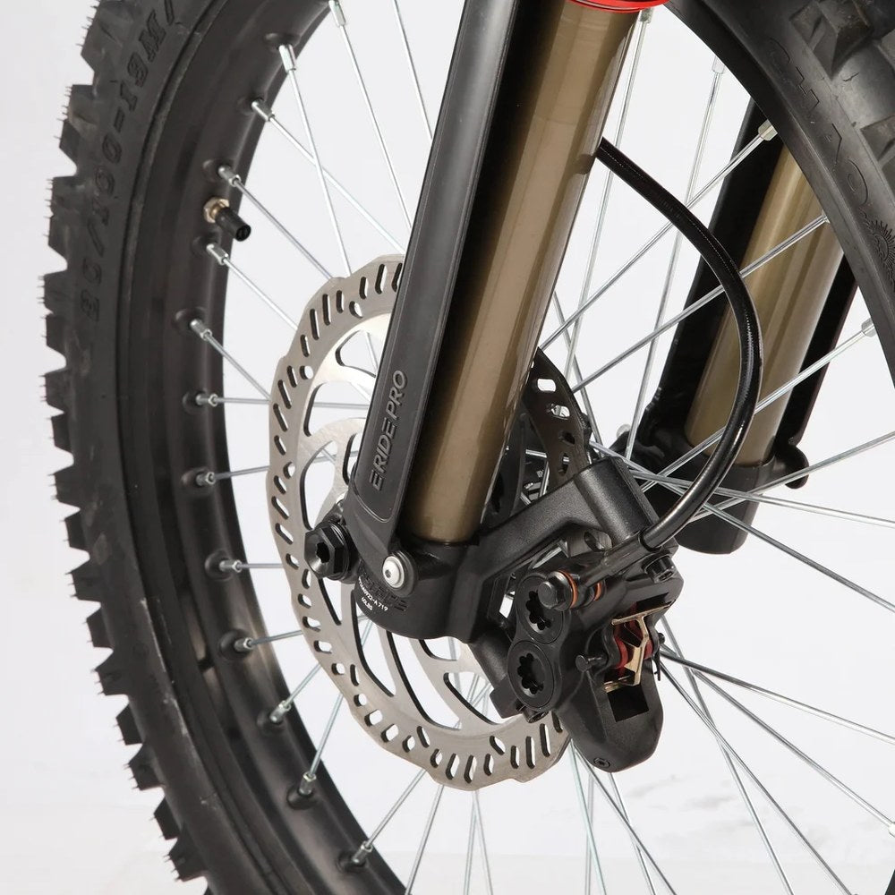 E Ride Pro SS - Image 7