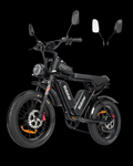 Ridstar Q20