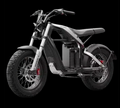 Segway Xyber